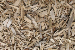 biomass boilers Dunnichen